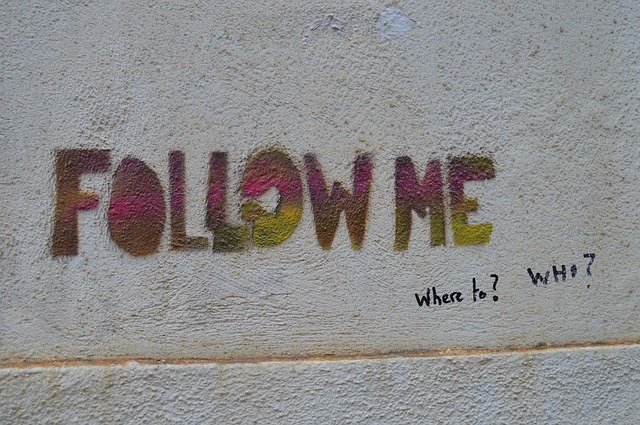 Public domain image : Pixabay